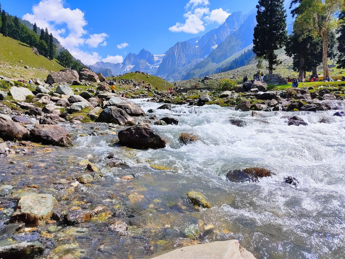 Фото с бесплатного фотоистока https://unsplash.com, автор Abdul Muiz Khan