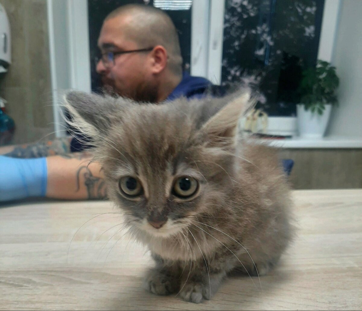 На приеме у хирурга, который спас жизнь Филипка