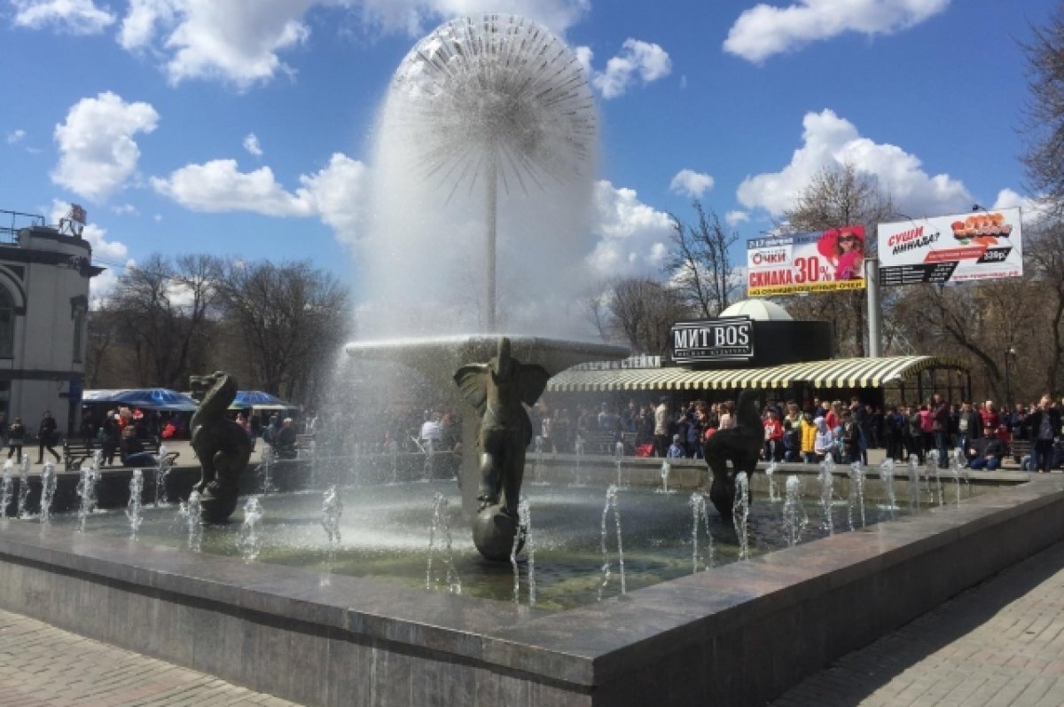    В Саратове скульптуры животных фонтана «Одуванчик» отправились в бар
