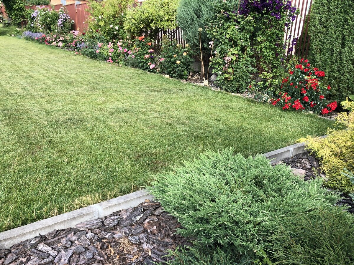 Цветочная клумба или композиция, где растёт всё