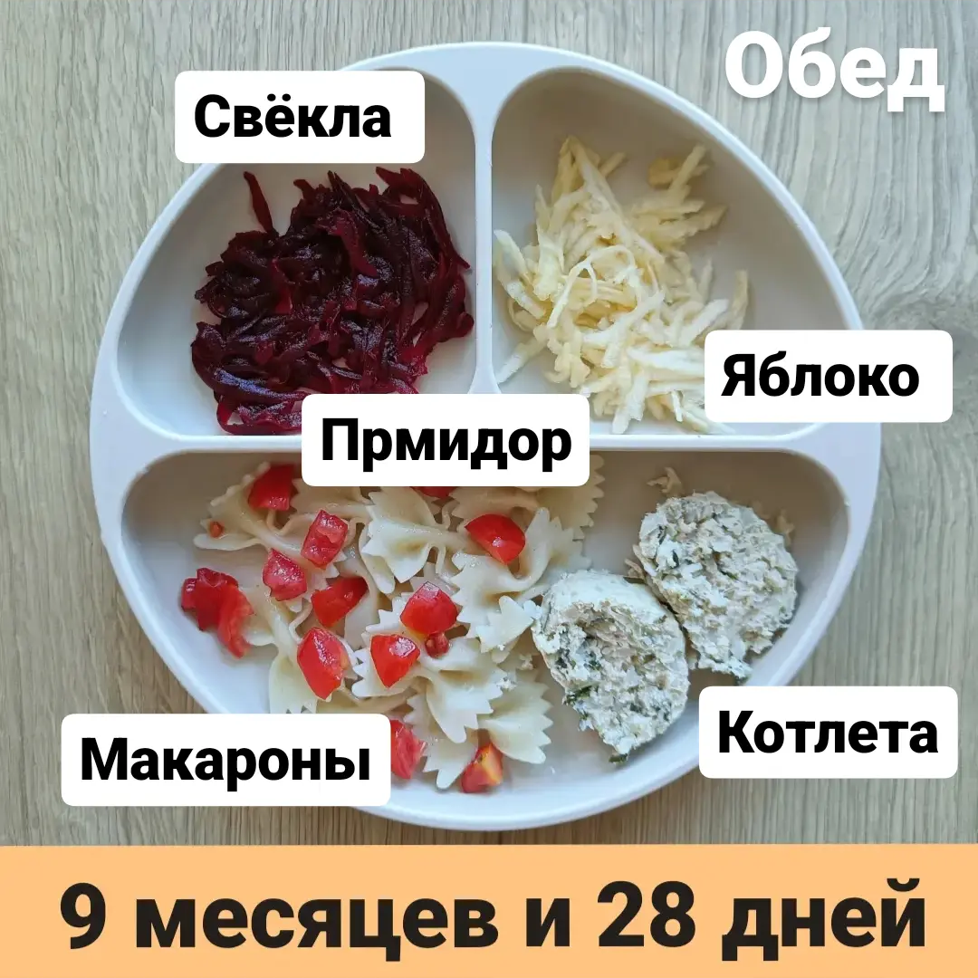 Пример тарелки в 9 месяцев 