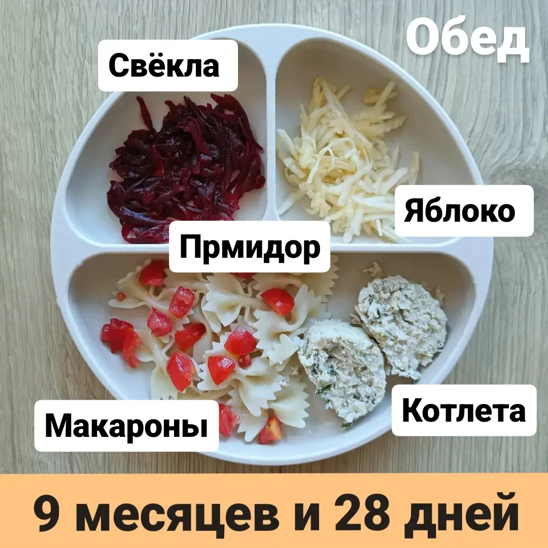 Прикорм. Тарелка 9 месяцев и 28 дней. Обед. | В поисках дома ❤️ Вьетнам  🇻🇳 Нячанг | Дзен