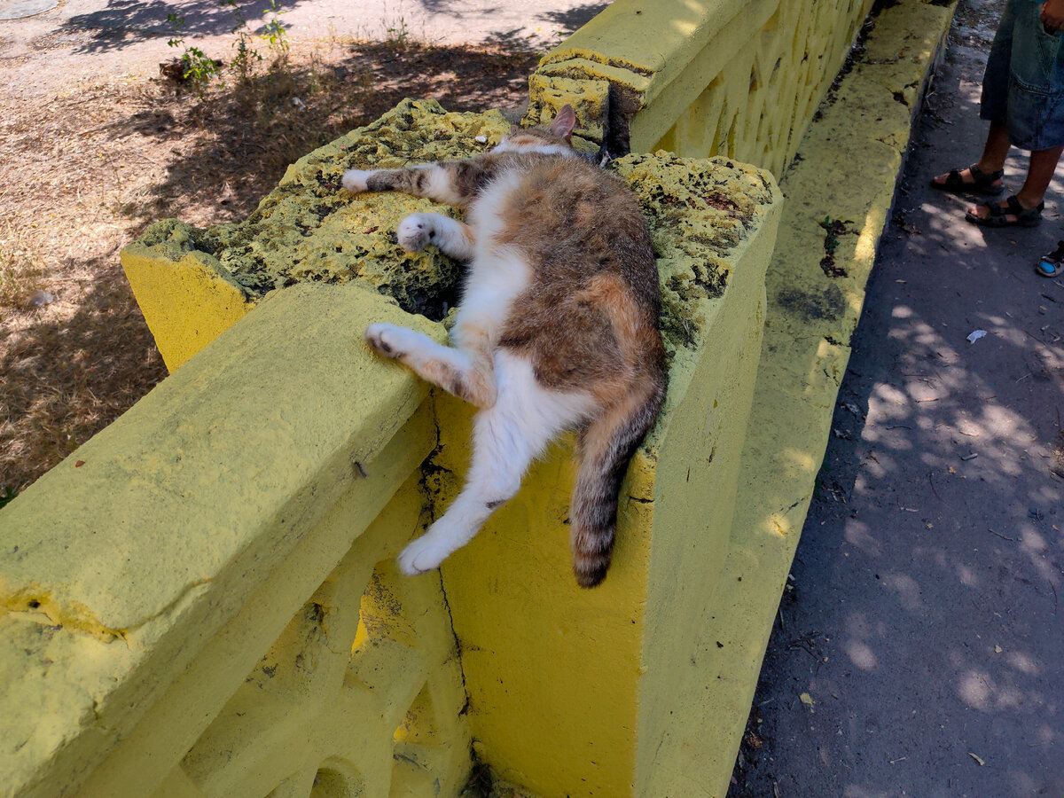 Вот, что я думаю про вашу погоду