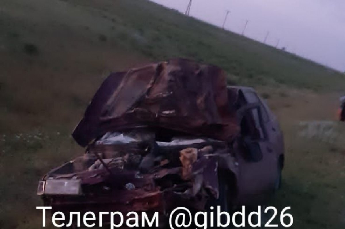    Водитель на Ставрополье посреди ночи на скорости врезался в корову и погиб