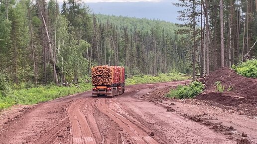 Осторожно мат. Тяжёлый спуск на груженых лесовозах по мокрой глине