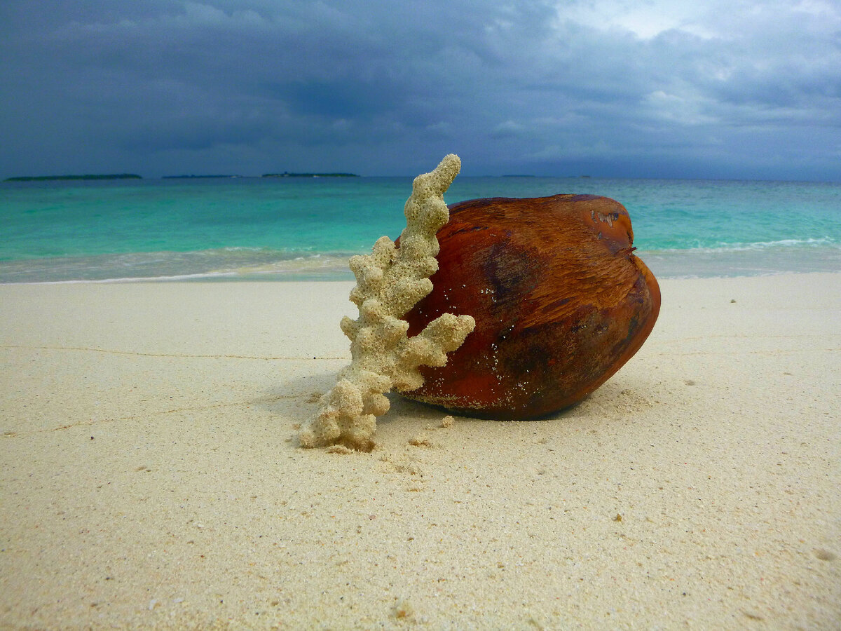 Пляж на острове