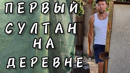 ТЭНы для батареи