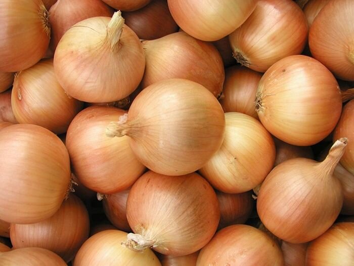 Фото для иллюстрации взято из открытых источников