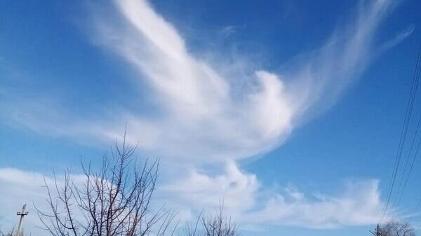    © Влад Шабалдин