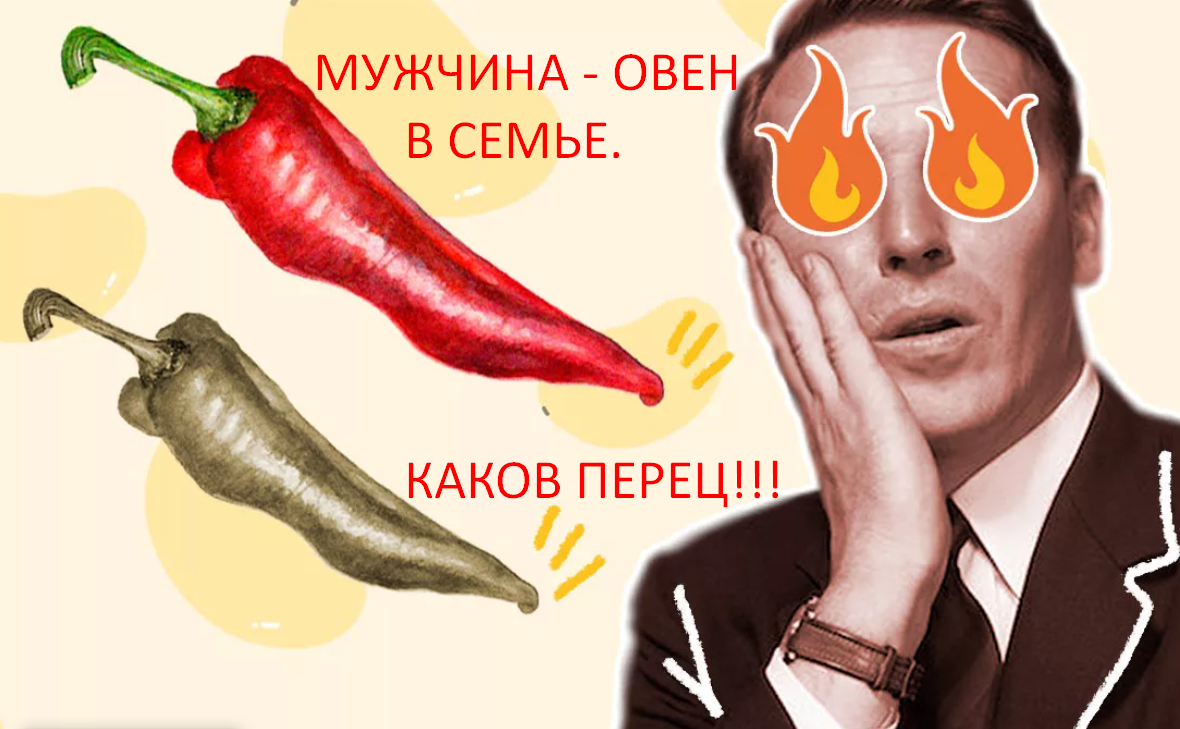 Фото из открытого источника