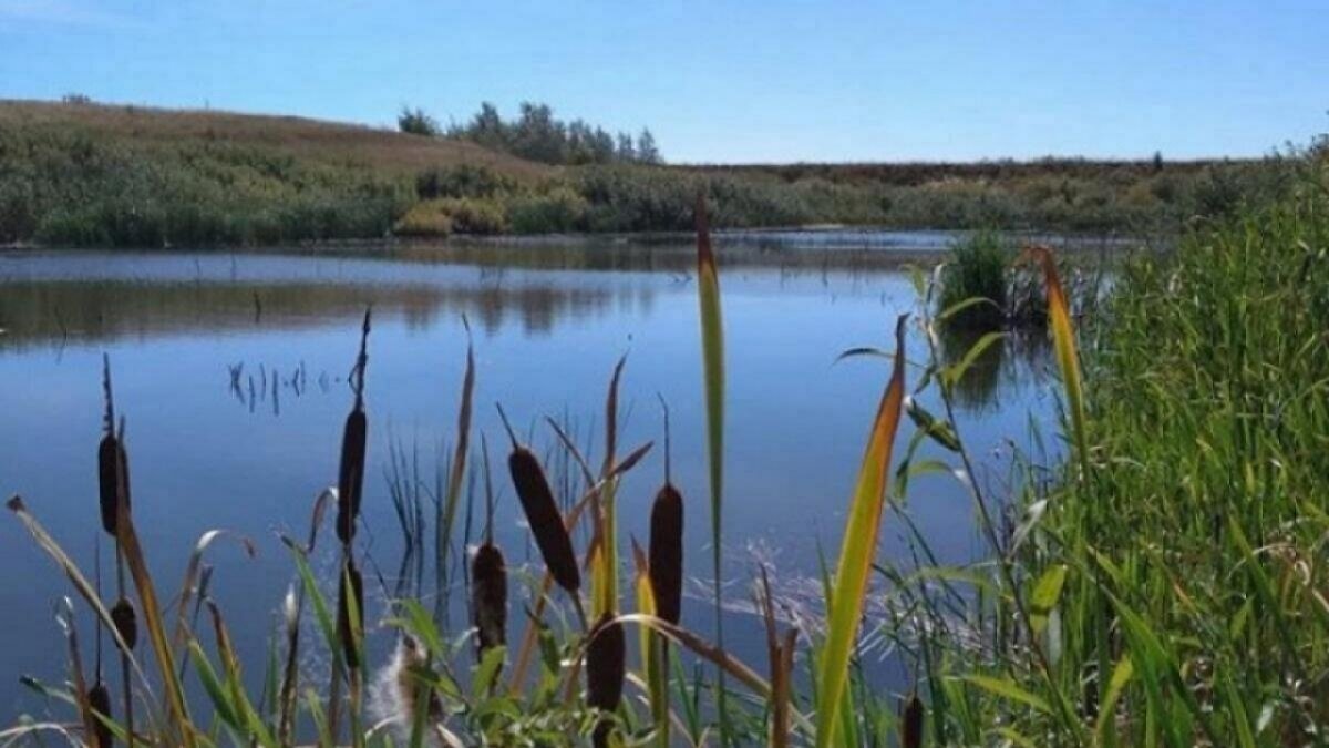    Под Балашовом 52-летний рыбак утонул в пруду ГазовыйНовости Саратова и области – Сетевое издание «Репортер64»