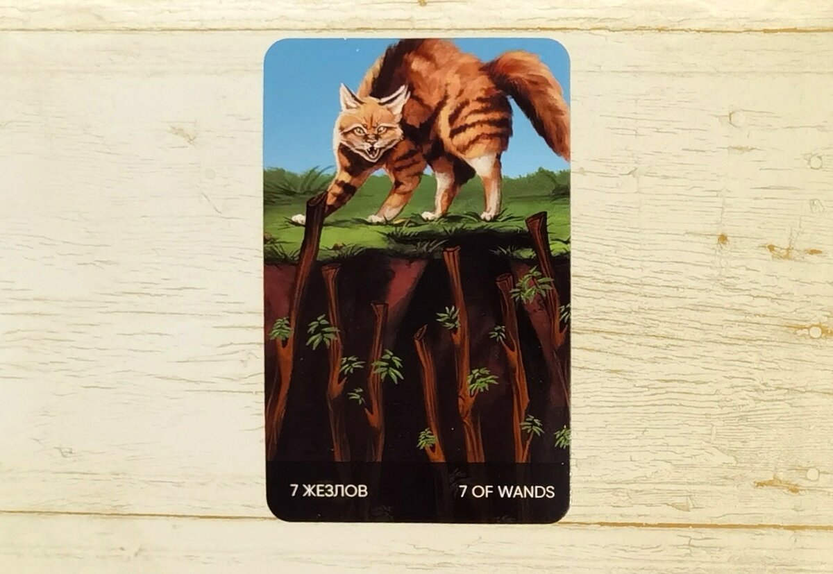 Hard rock darts. 15 0 7 2023. 15 0 7 2023. 15 0 7 2023. G7 страны.