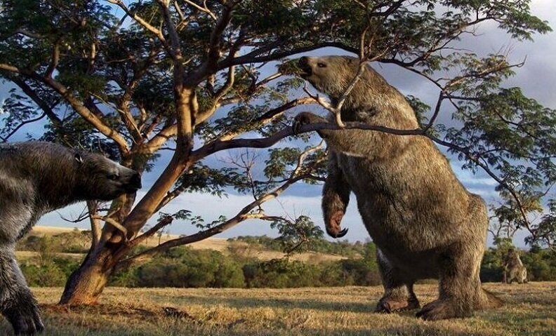    Фото из открытых источников