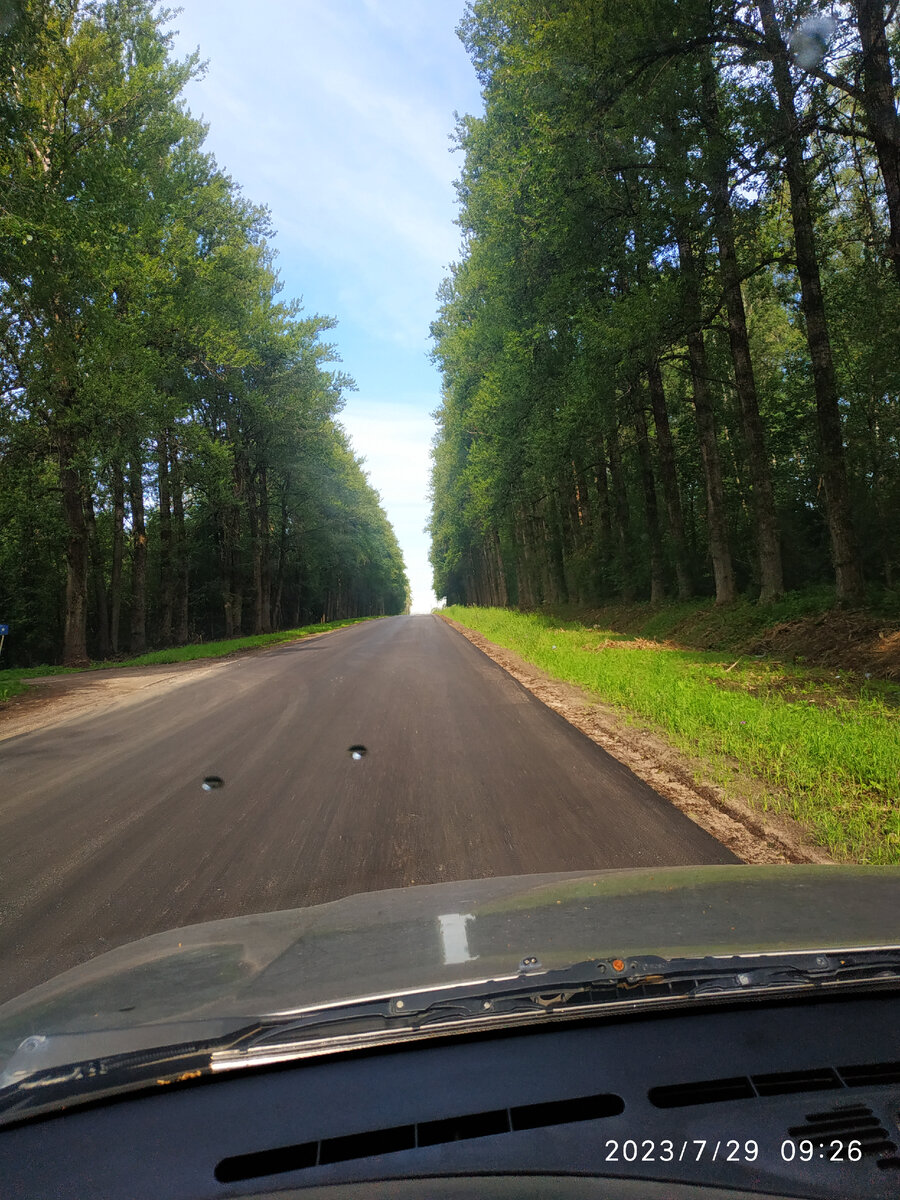 дорога от трассы МСК-Питер до села Медное.