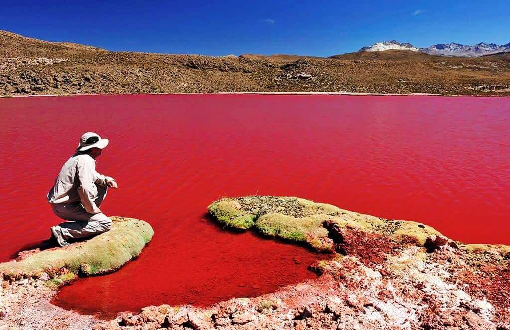 Озеро дьявола. Чили. (ru.pinterest.com)