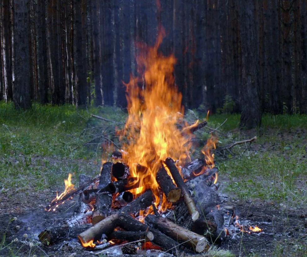 Яндекс картинки