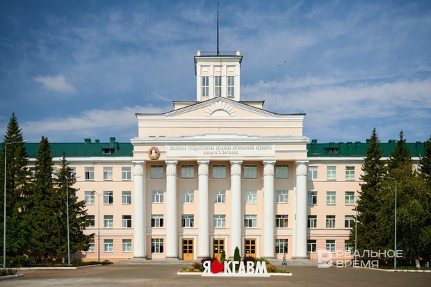 Фото: Динар Фатыхов/realnoevremya.ru 