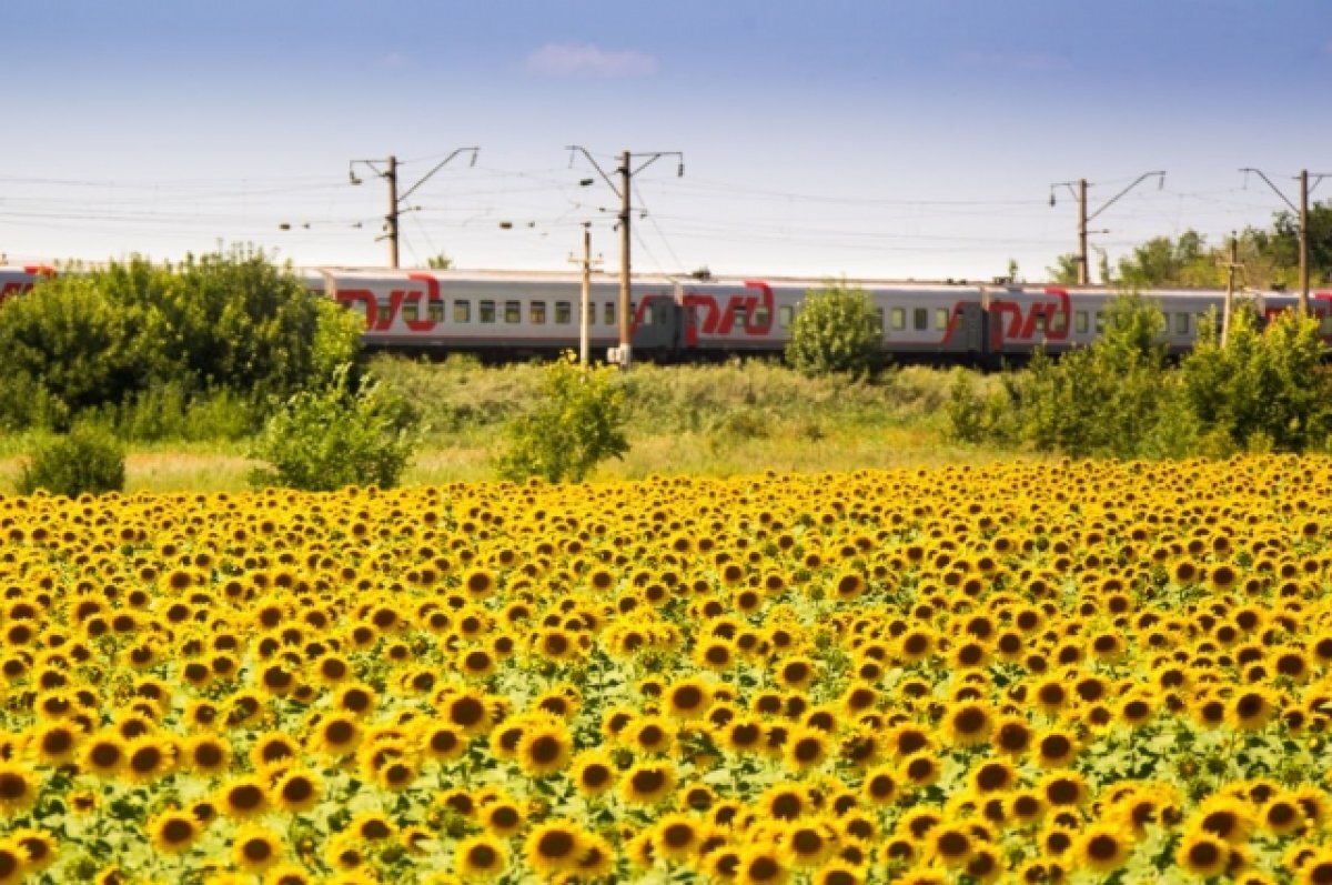    В РЖД отреагировали на сообщение о деформации железной дороги из-за жары