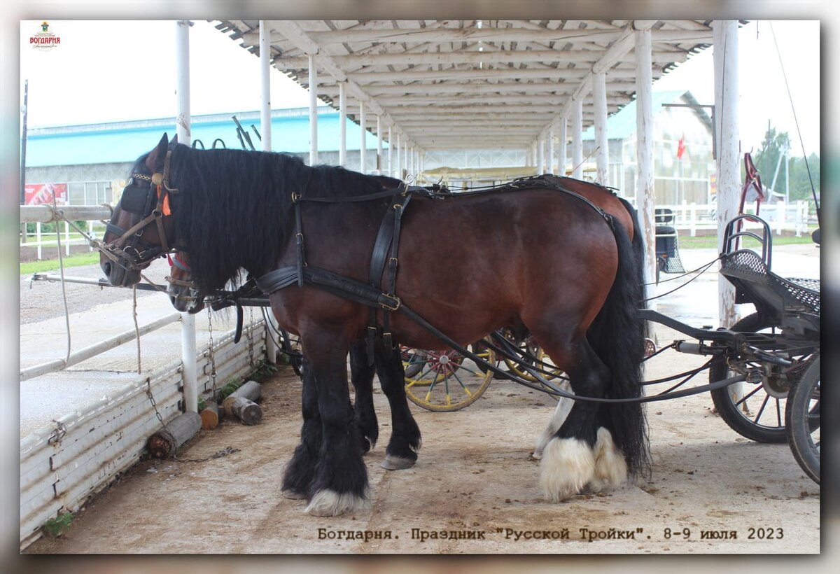 Два владимирца отдыхают после праздничных мероприятий под навесом.