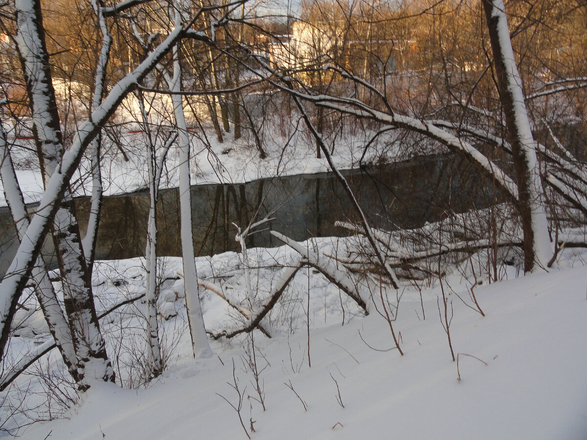 Берег Яузы зимой. Все завалено буреломом.                                                 Личный архив.