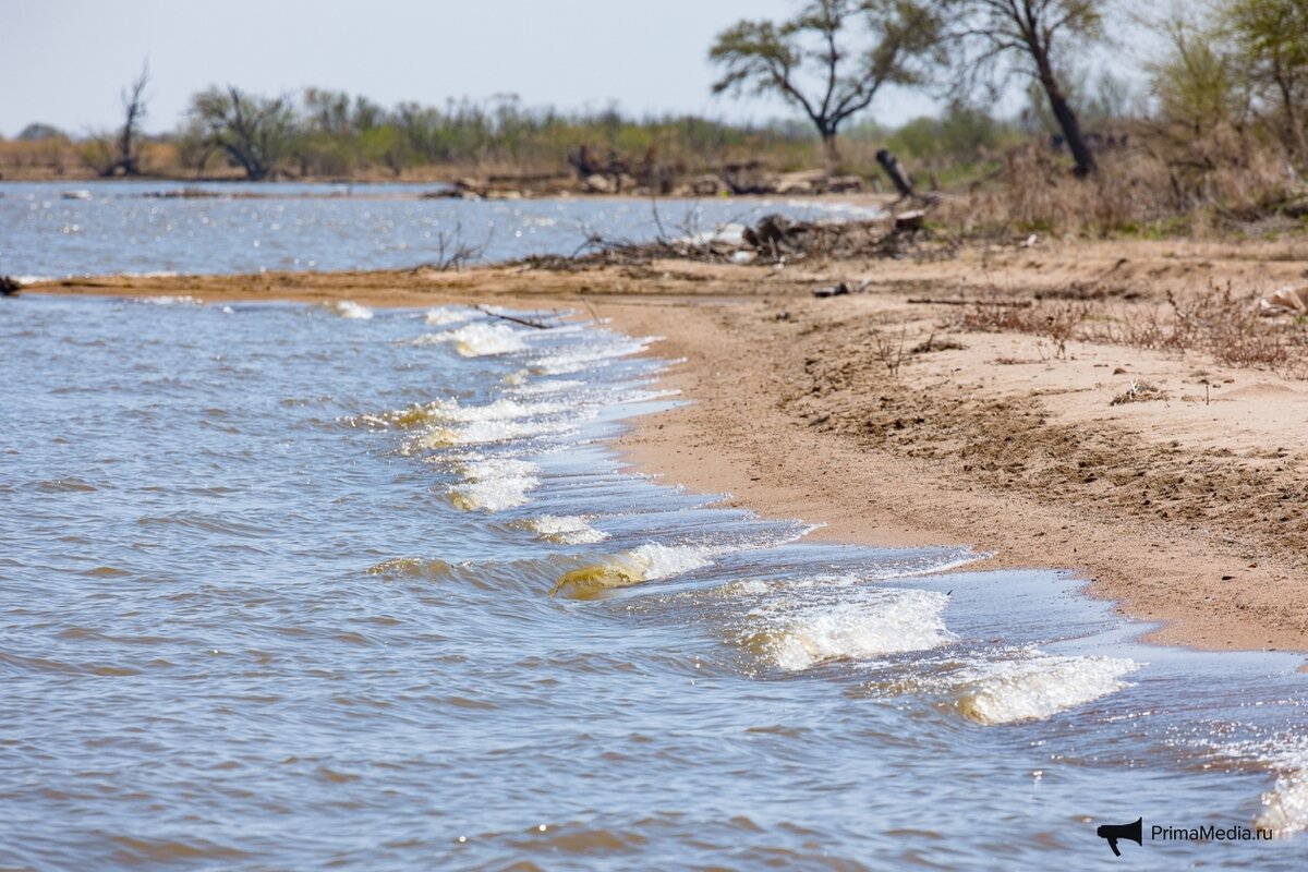 Водно болотные угодья озера ханка