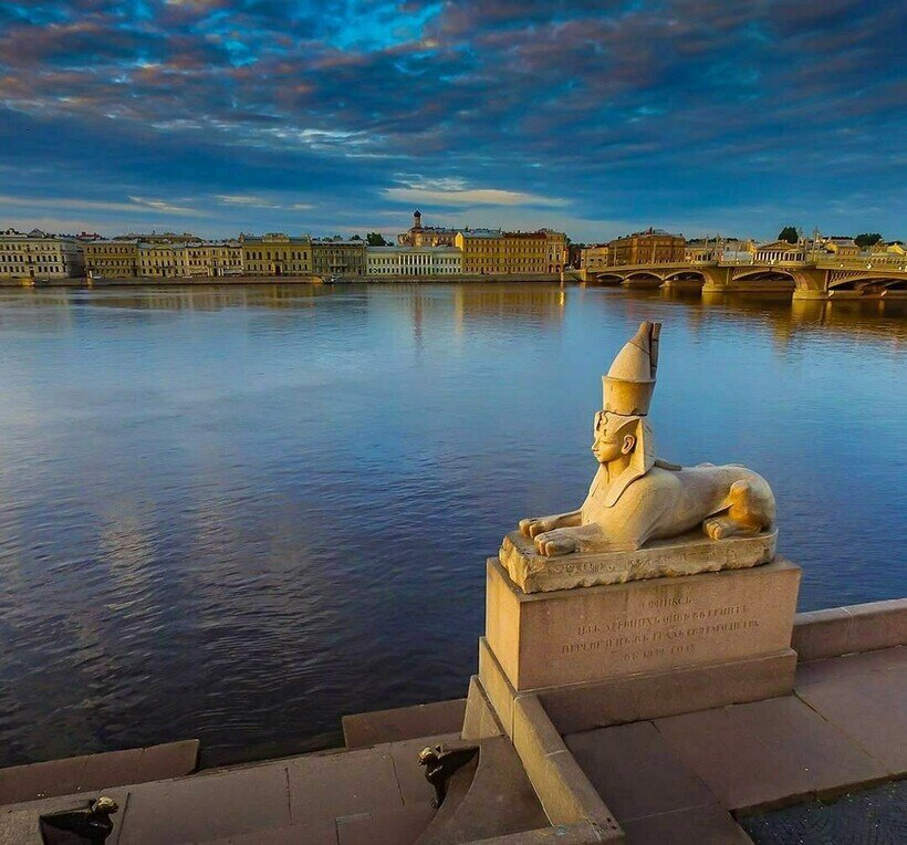 Картинки сфинксы в санкт петербурге