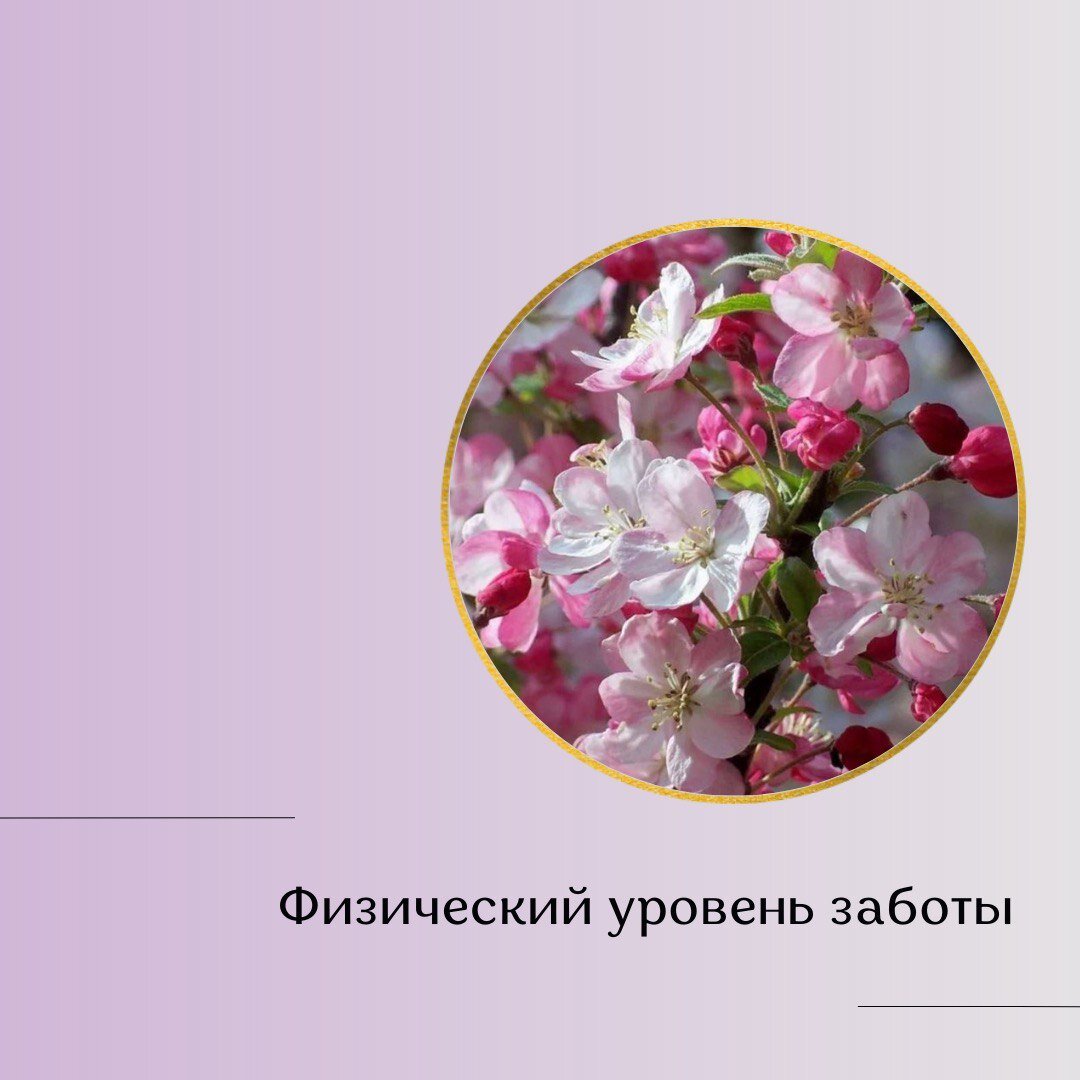 Физический уровень заботы о себе. | Душа Разума - Психолог наизнанку | Дзен