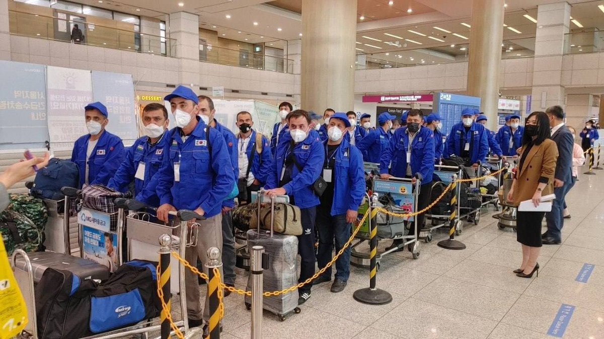 Первая партия таджикских мигрантов по организованному набору в Южную Корею. Фото: Минтруда РТ