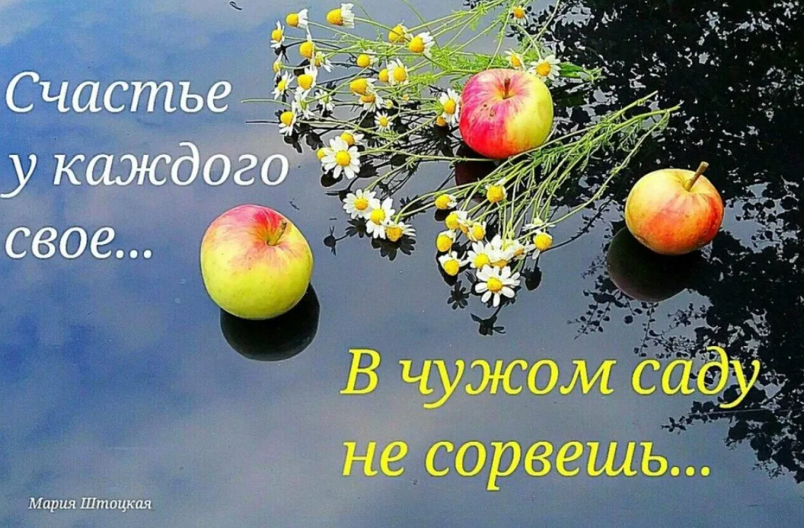 Счастье нет и не будет. Понятие счастья у каждого свое. Счастье у каждого свое. У каждого свое счастье цитаты. Счастье это.