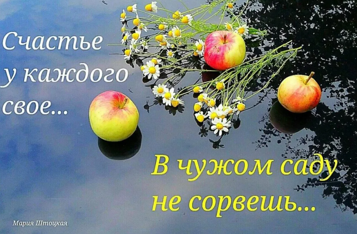 Счастье есть много много. У каждого свое счастье цитаты. Счастье у каждого своё цитаты. Понятие счастья у каждого свое. Каждому свое счастье в афоризмах.