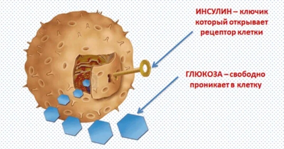 Глюкоза инсулин диабет