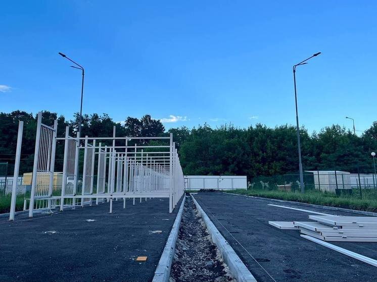     В приюте для бездомных животных Белгорода строят дополнительные вольеры, фото: t.me/v_v_demidov