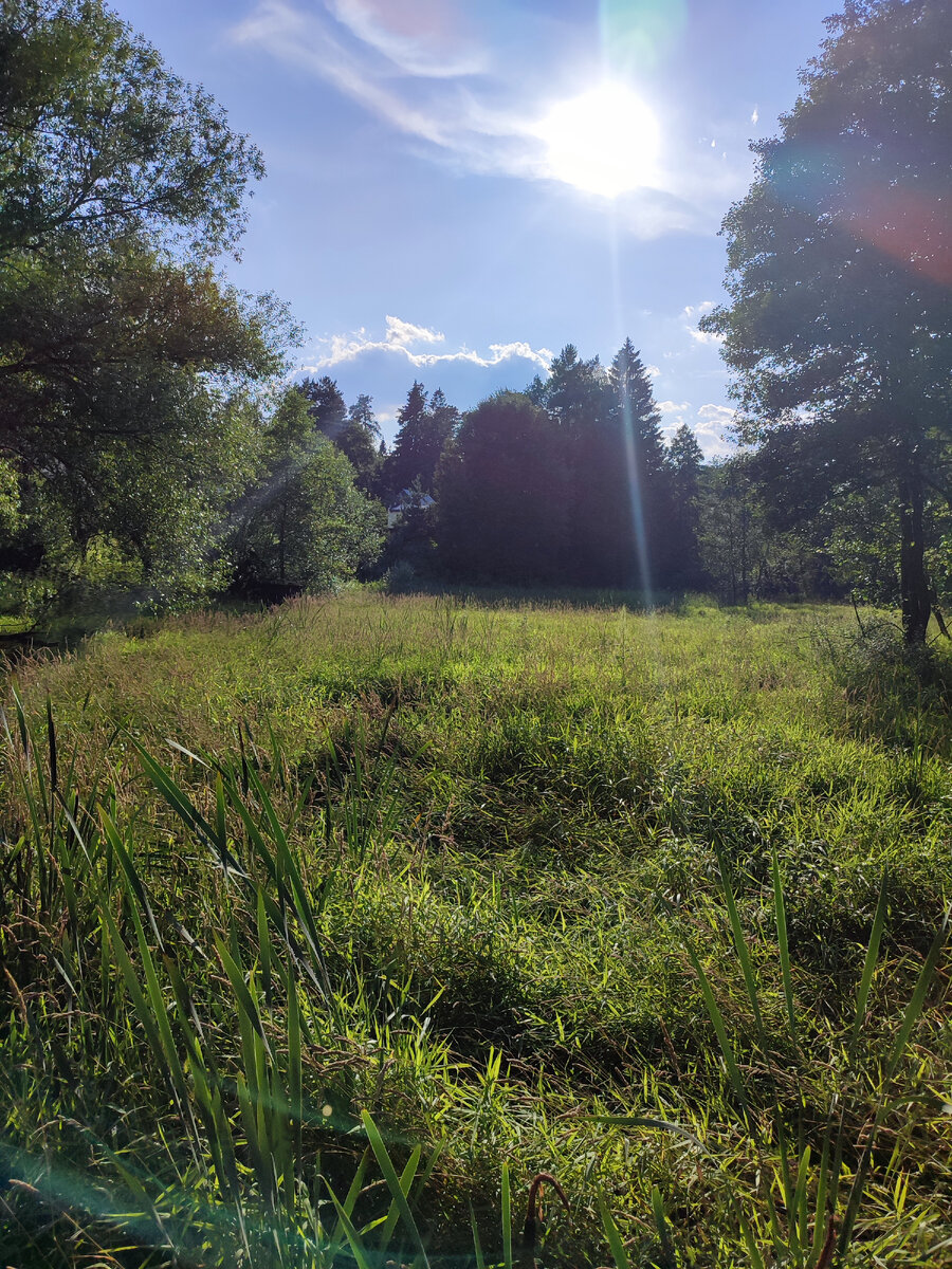 Исток реки Гречушка