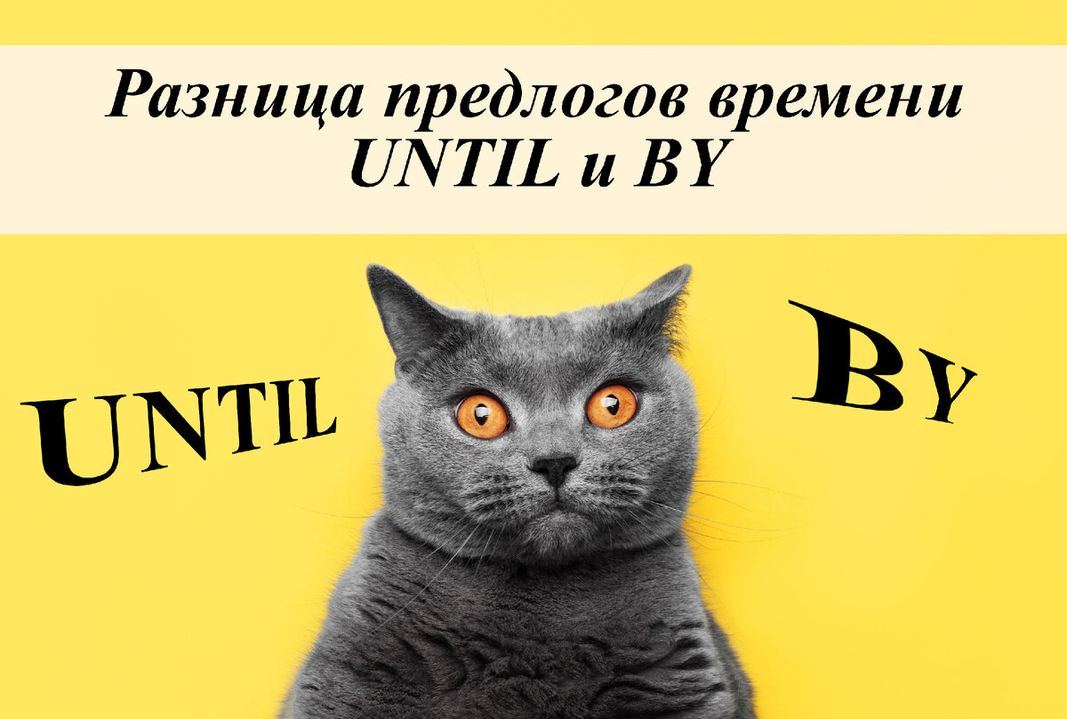 Разница предлогов времени UNTIL и BY | English Cats | Дзен