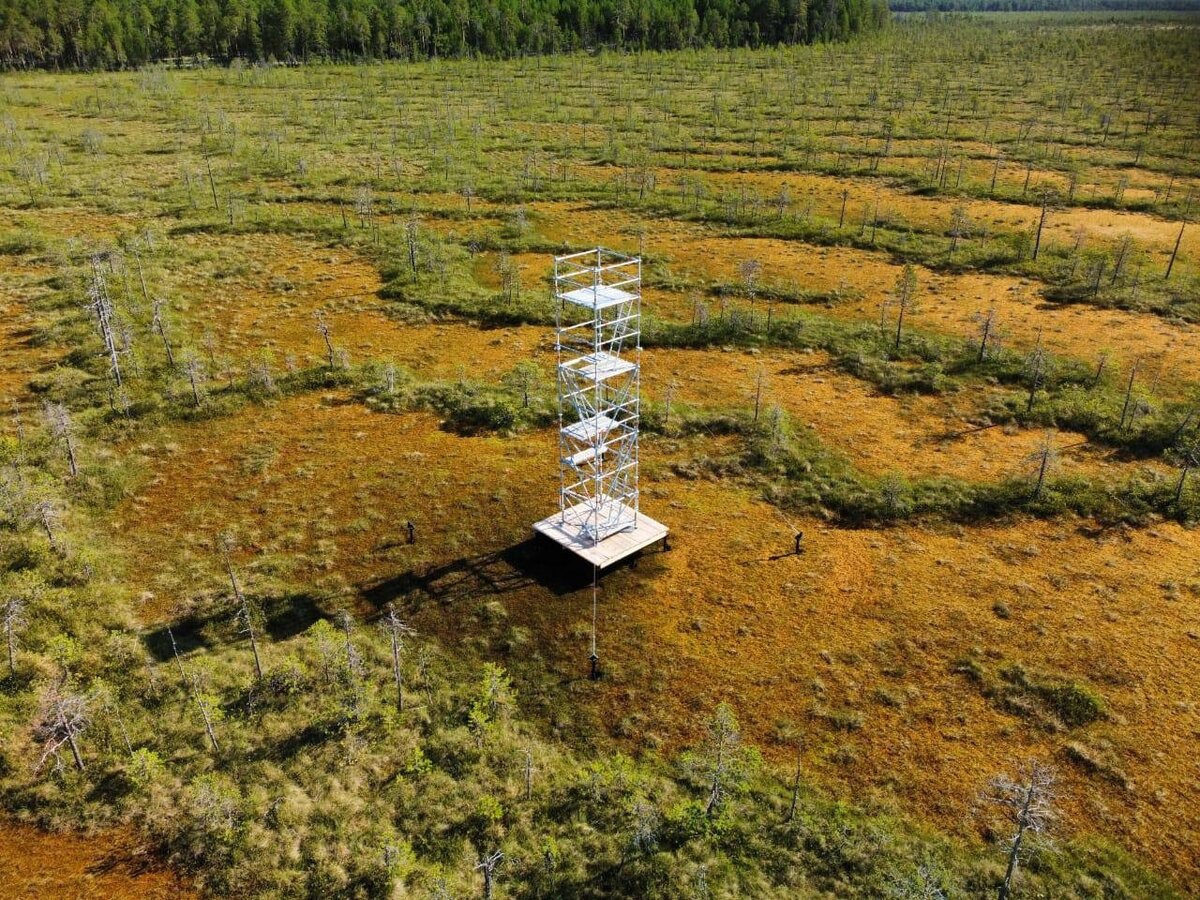    В Югре установлена первая станция мониторинга потоков парниковых газов