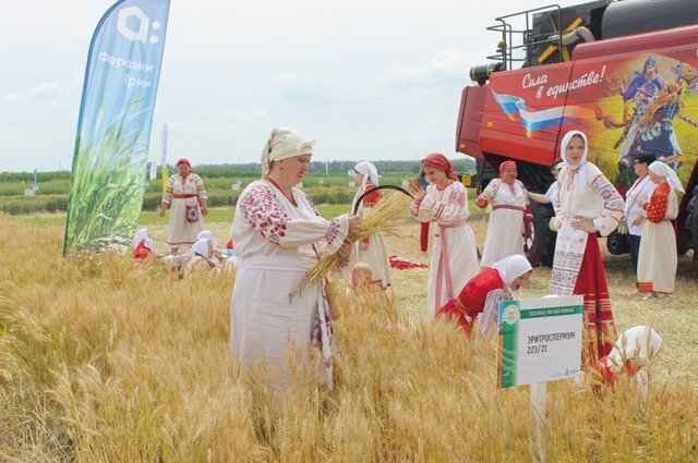 Крупный сельхозпраздник - это не только демонстрация новых сортов, а также технологий производства, выращивания и переработки аграрной продукции. Это условия для развития экономики региона и установления взаимовыгодных партнёрских отношений с соседями. Фото автора