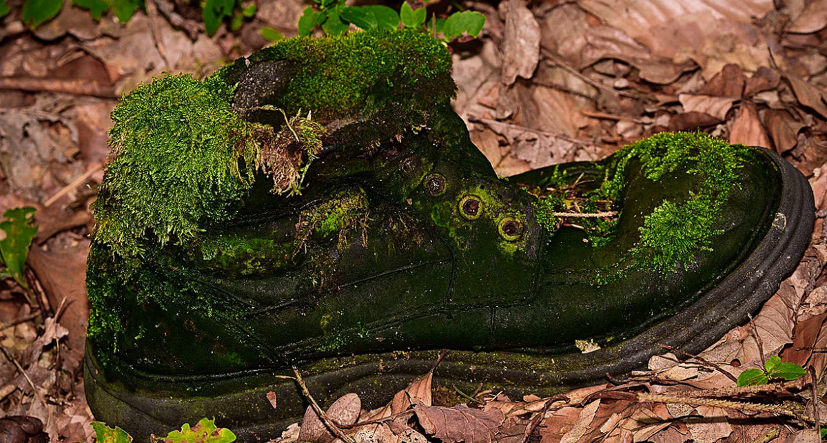 Картинки Яндекс