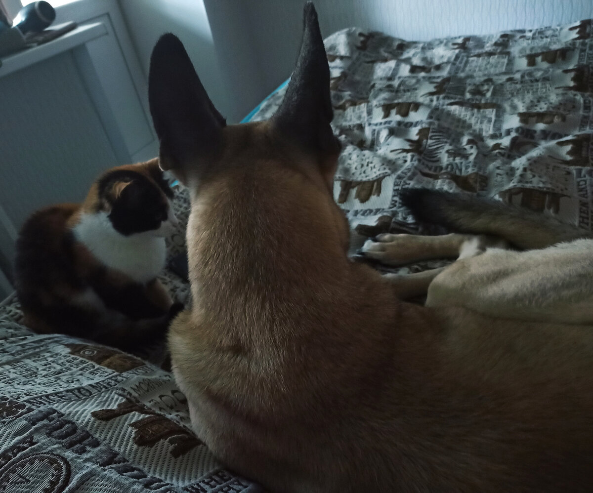 Фото автора