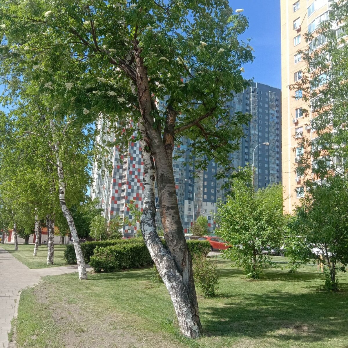 Созависимые отношения
