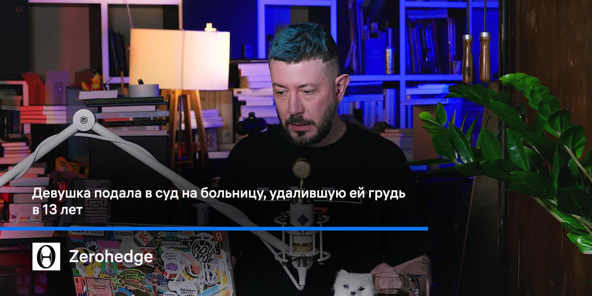 № 428 Пляжи США тонут в экскрементах / Маск и Цукерберг меряются членами /  В России запретили смену пола | Артемий Лебедев | Дзен