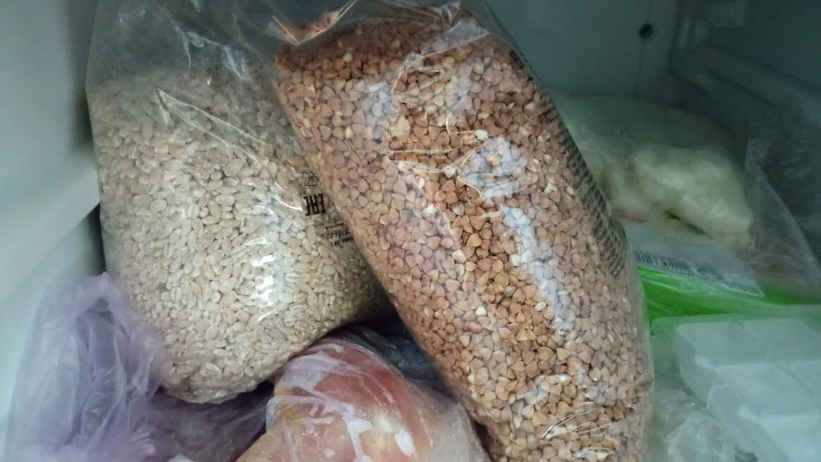 что делать, если в крупе завелись жучки