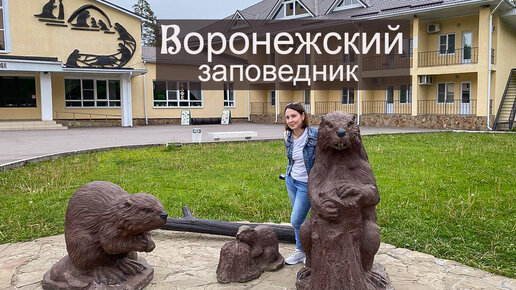 Воронежский биосферный заповедник. В гостях у бобров.