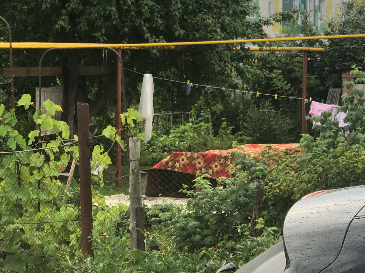 Соседи справа.