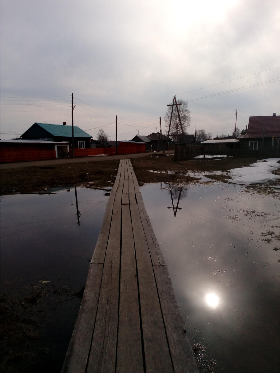 Из личного архива. Томская область. Деревня Нарга. Мостик для одинокого человека.