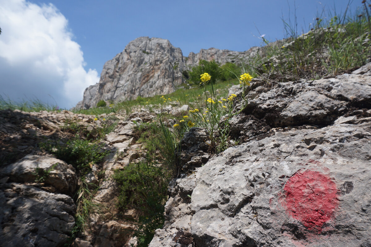 Юлия Сова, астролог. Фото автора