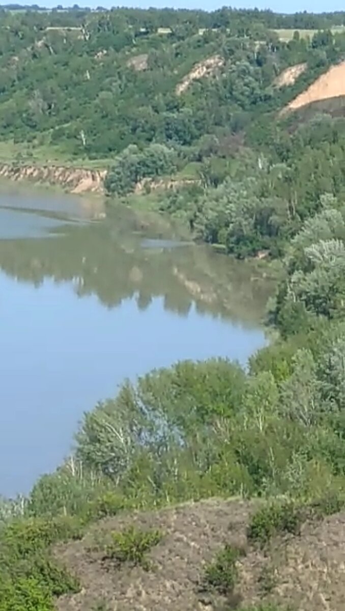 Яркие краски