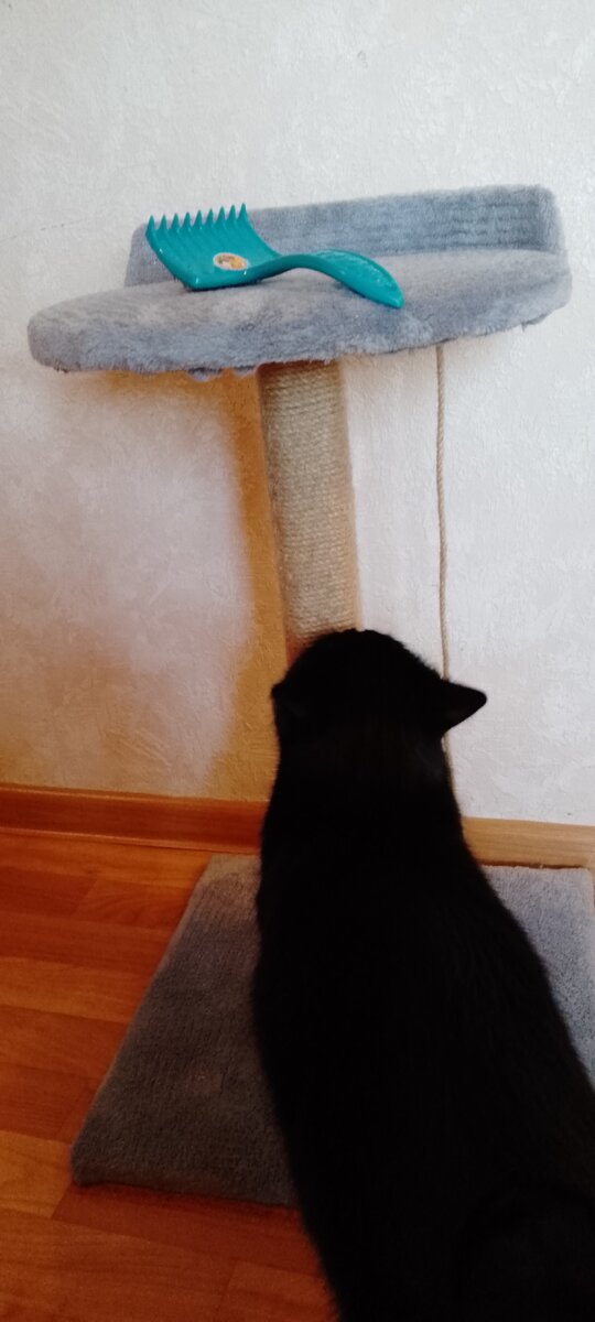 к нижней части лежанки прикреплена веревка, к которой можно привязать любимую игрушку питомца