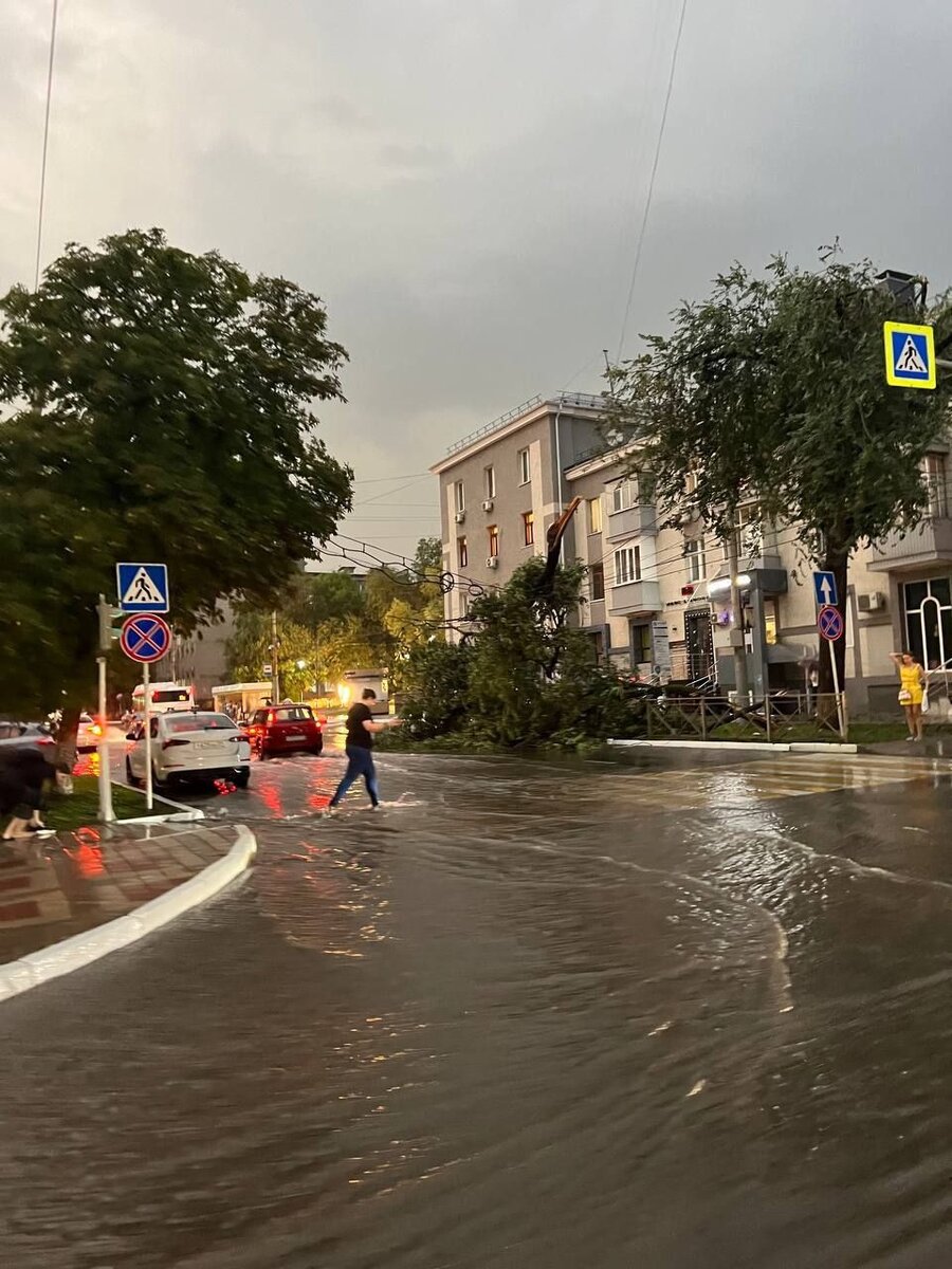 Это недалеко от нас, хорошо, что дерево упало не на остановку, а на дорогу🙏