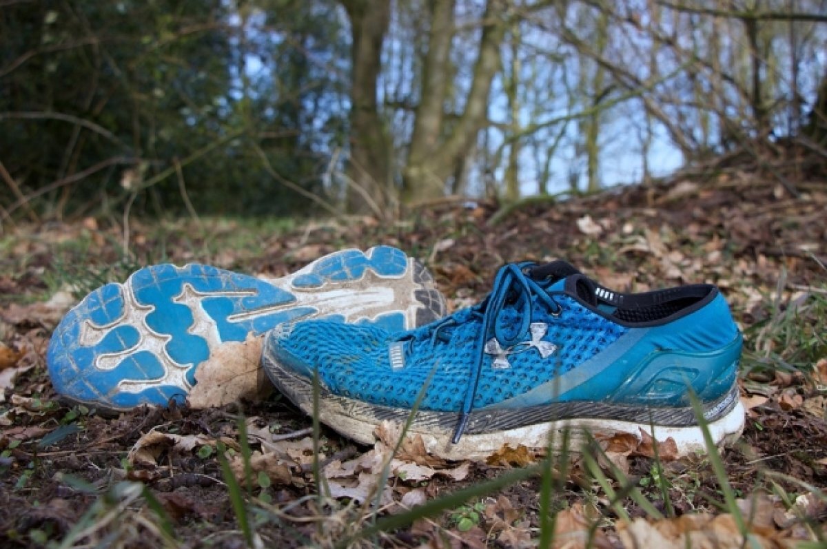    В Тверской области волонтеры и полиция нашли бабушку с провалами в памяти