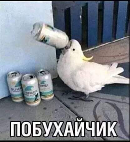 Фото взято из открытых источников Яндекс поиска 